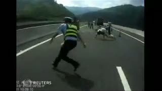 Truk Terbalik, Belasan Ekor Babi Lepas di Jalan Tol