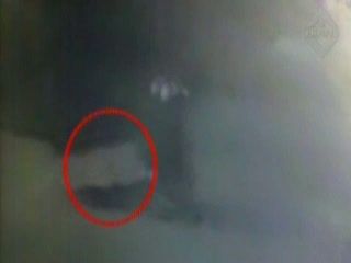 Ini Dia Rekaman CCTV Pembunuhan Gadis Cantik di Bandung