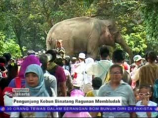 Pengunjung Kebun Binatang Ragunan Membludak