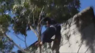 Panjat Pohon, Cara Tahanan Kabur dari LP Sau Paulo Brasil