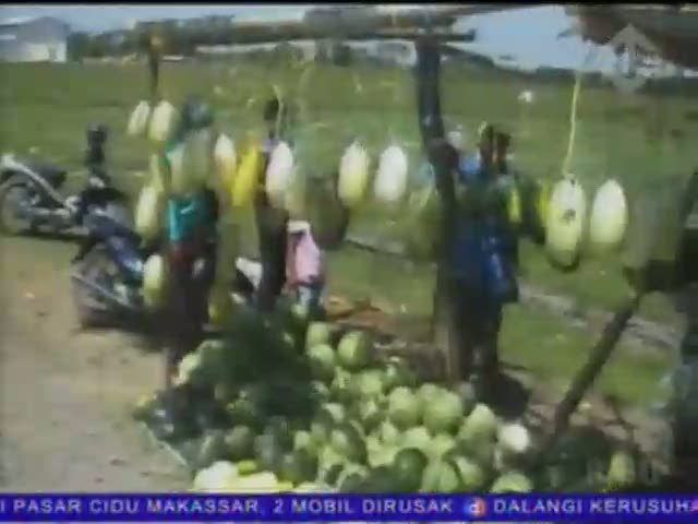 Berburu Semangka Inul untuk Oleh-Oleh