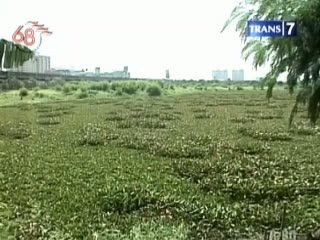 Normalisasi Waduk Riario Menuai Penolakan