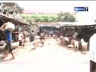 Relokasi Rumah Potong Tanah Abang Diprotes Warga