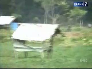 Warga Saling Serang, 3 Luka Tembak