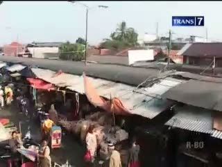 Pemerintah Diharapkan Mampu Menekan Volume Impor