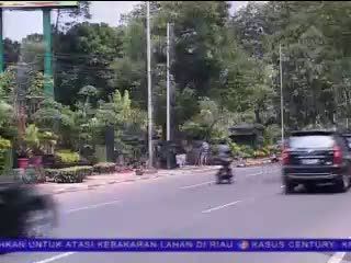 Mengatur Para Penjual Tanaman Hias di Trotoar