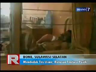 Digigit Monyet, Tangan Nyaris Putus
