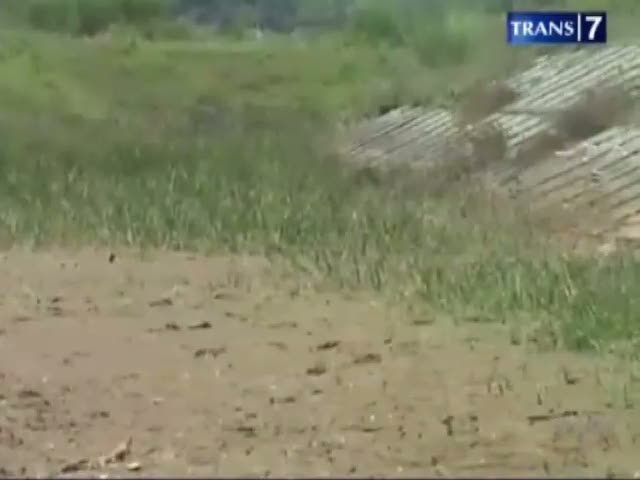 Kekeringan Landa Sejumlah Wilayah di Tanah Air