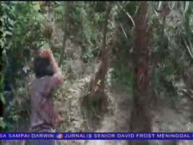 Monyet Rusak Atap Rumah Warga