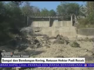 Kekeringan, Warga Terpaksa Konsumsi Air Berlumut