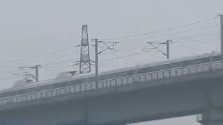 Wow, Bebek Raksasa 18 Meter Pukau Warga Beijing