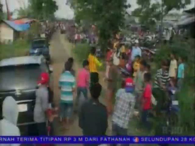 Adu Balap Itik Terbang, Satu-satunya di Dunia