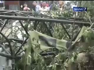 Alat Berat Senggol Pohon, Pejalan Kaki Tewas