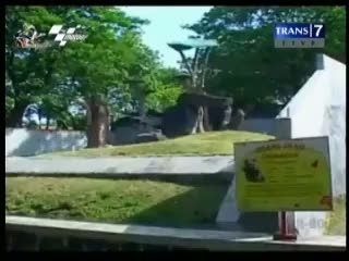 Orangutan Kebun Binatang Surabaya Mati