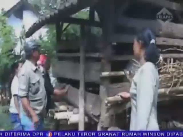 Diserang Hewan Misterius, Puluhan Kambing Kurban Mati