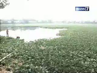 Normalisasi Waduk atau Pilih Banjir