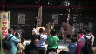 Uniknya Festival Bayi Sumo Menangis di Jepang
