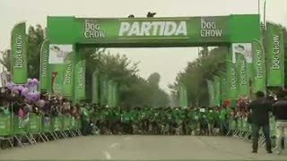 Lucu, Ribuan Anjing Ikuti Ajang Marathon Tahunan