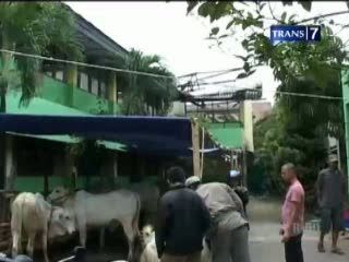 Sekolah Rusak, Siswa Belajar Bersama Kambing