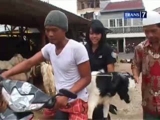 Ojek Kambing, Layanan Delivery Hewan Qurban