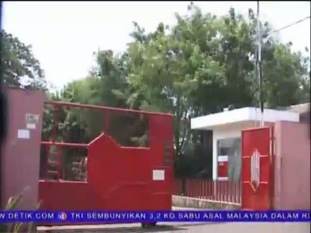 Membeli Sapi Kurban Sistem Kiloan