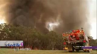 Darurat Kebakaran di Australia 