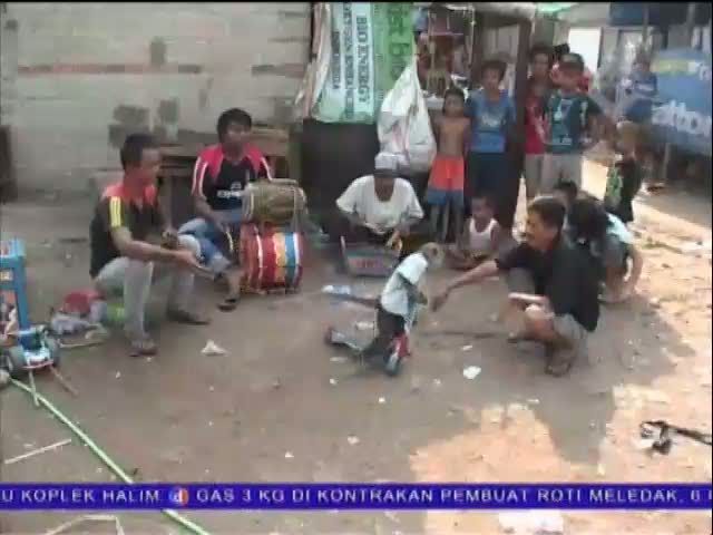 Topeng Monyet Akan Dilarang di Jakarta