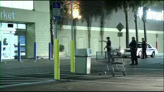 Heboh Buaya Nyasar di Supermarket Florida
