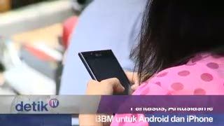 Fantastis, Antusiasme Pengguna BBM untuk Android dan iPhone 
