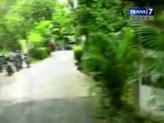 Orang Utan Cacat Dianiaya