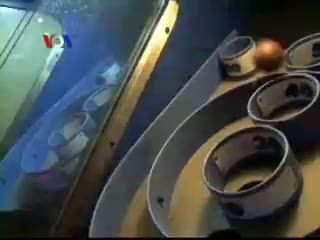 Unik, Rayakan Halloween di Turnamen Skeeball  