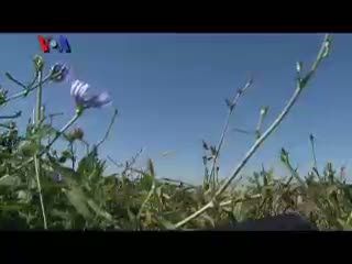 Lolos dari Lumpuh Berkat Operasi Baloon Khypoplasti