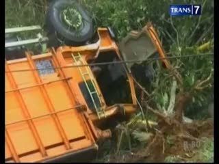 Truk Terjun ke Jurang, 11 Ekor Sapi Mati