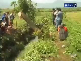 Identitas Korban, Kunci Utama Ungkap Kasus Kejahatan