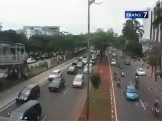 Pohon Pohon Dikorbankan Demi MRT