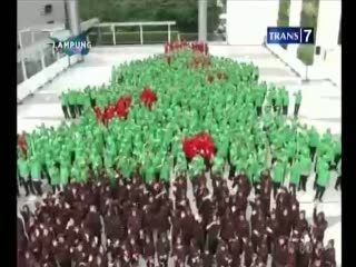 Pohon Natal Manusia Pecahkan Rekor Dunia