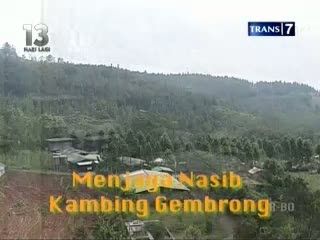 Menjaga Nasib Kambing Gembrong