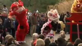 Setelah 100 Hari, Misteri Nama Bayi Panda Terkuak