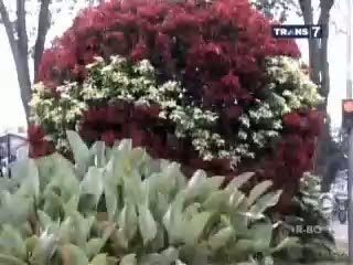 Taman Vertikal Ibukota