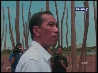 Jokowi Periksa Tanaman Waduk Ria Rio