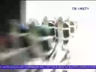 Sambut Tahun Baru Trans Studio Gelar Pertunjukkan Dinosaurus