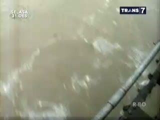 Bertaruh Nyawa, Berburu Kayu Banjir