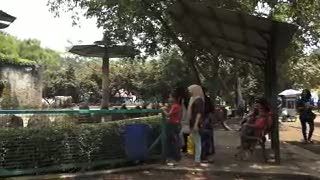 Bayi Gajah, Magnet Baru Kebun Binatang Ragunan