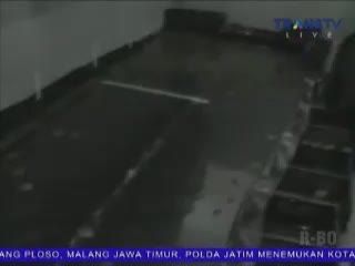 Penyelundupan Kura-kura Digagalkan