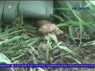 Dua Bocah Ditemukan Tewas dalam Hutan dengan Luka Gorok di Leher