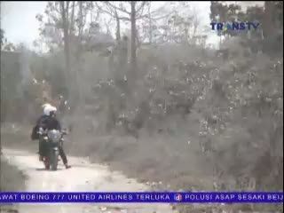 Erupsi Terus Menerus, Lereng Sinabung Porak Poranda