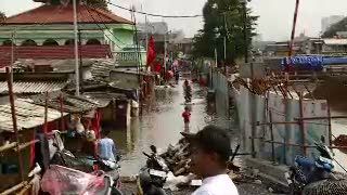 Pluit Terendam Banjir, Ratusan Warga Mengungsi Ke Taman Waduk