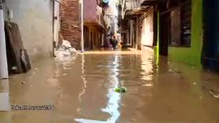 12 Orang Meninggal Akibat Banjir Jakarta