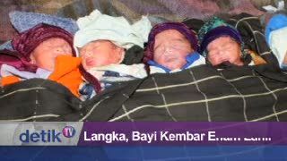 Langka, Bayi Kembar Enam Lahir