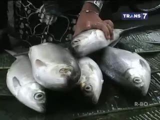 Bandeng Meriahkan Imlek Warga Betawi